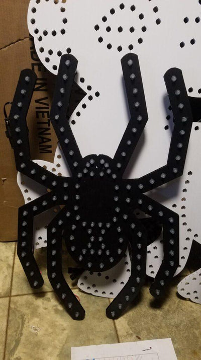 Spider